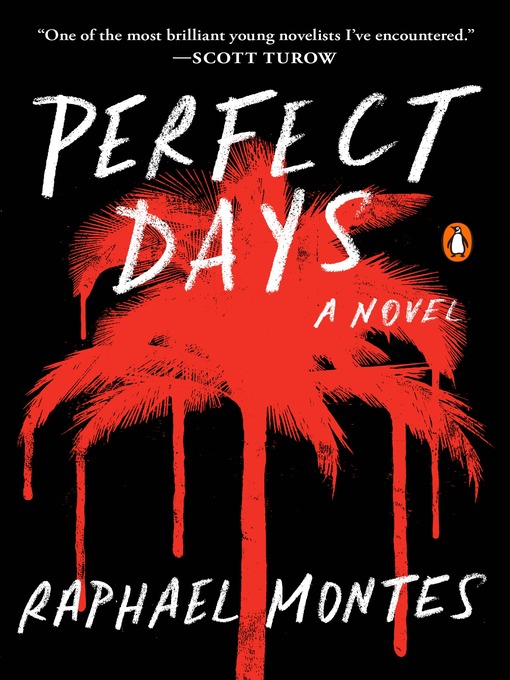 Title details for Perfect Days by Raphael Montes - Wait list